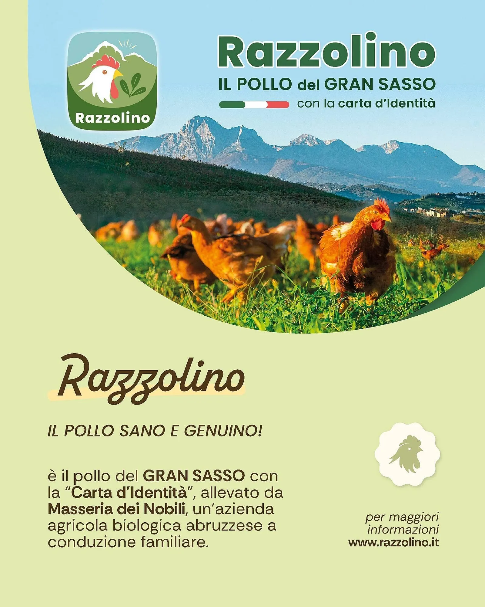 Volantino Centro Carne - 1