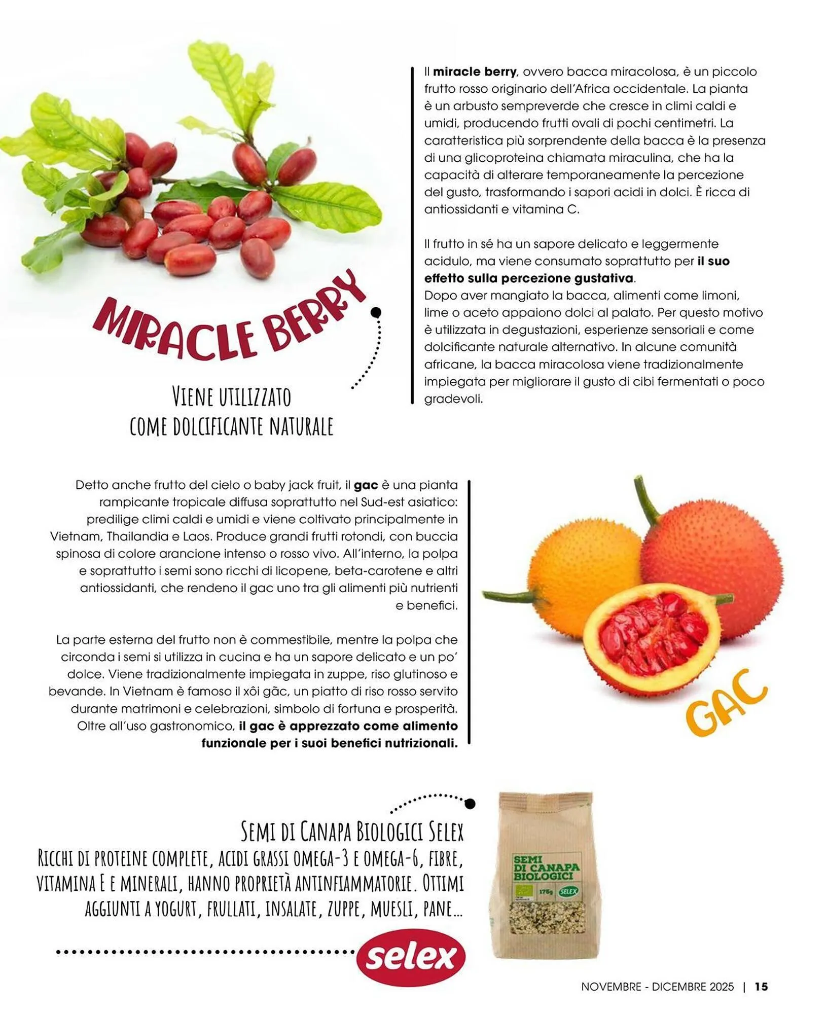 Volantino A&O da 1 novembre a 31 dicembre di 2025 - Pagina del volantino 16