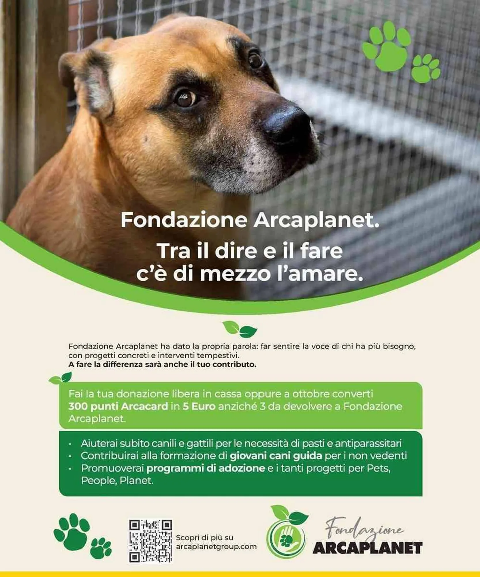 Volantino Arcaplanet da 3 novembre a 9 novembre di 2025 - Pagina del volantino 39