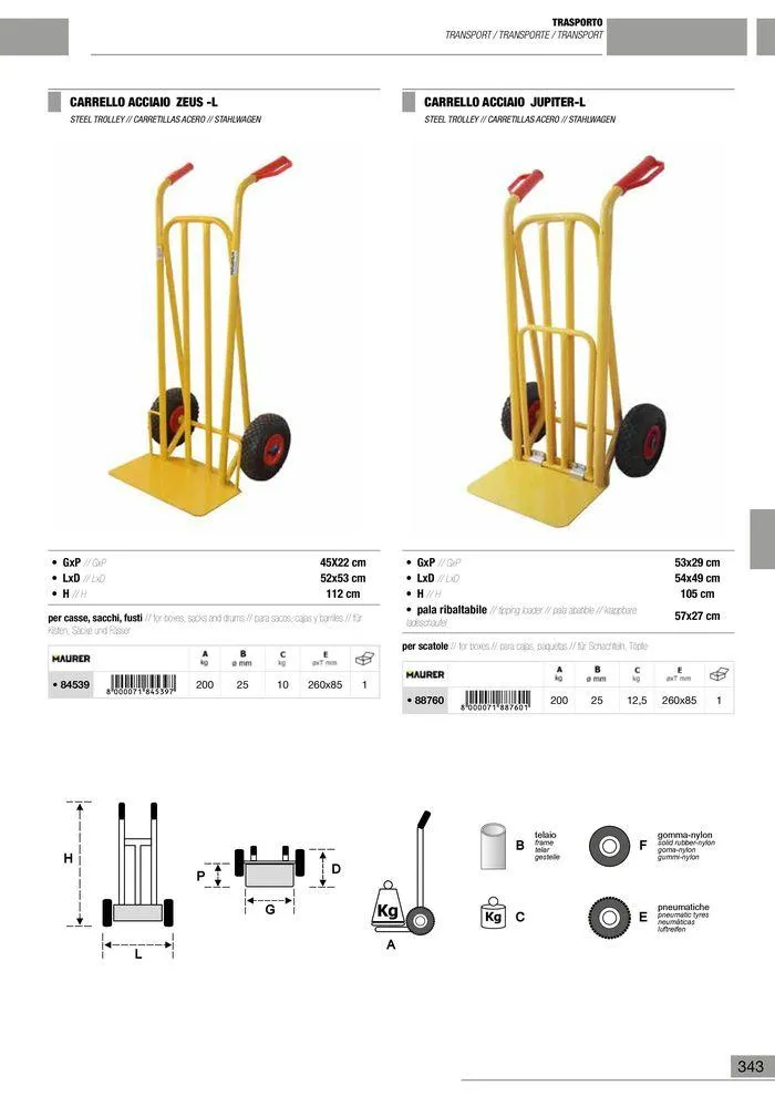 Catalogo Generale da 10 gennaio a 13 maggio di 2025 - Pagina del volantino 344