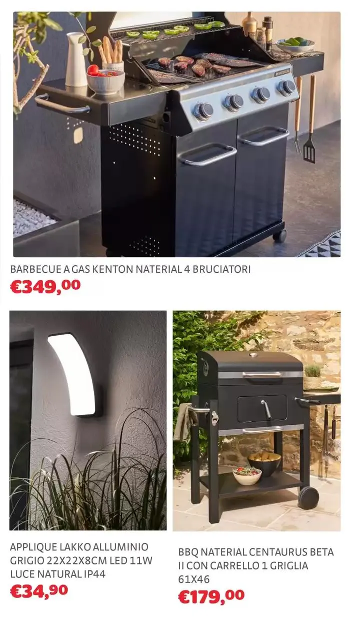 Lavori di primavera da 1 marzo a 31 marzo di 2025 - Pagina del volantino 11