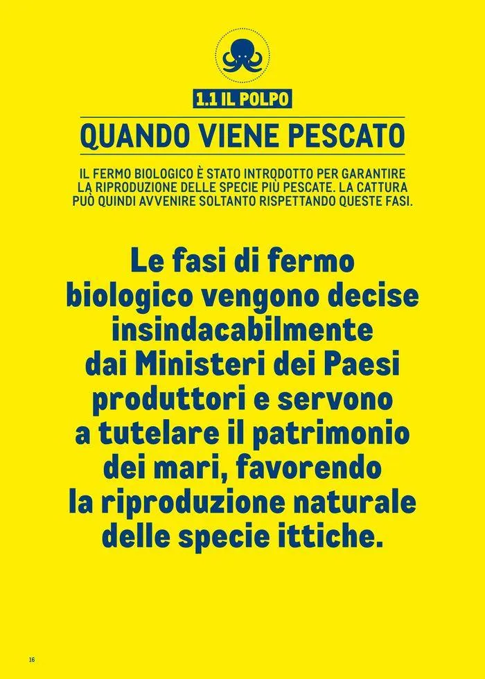 Catalogo Surgelati 2024 da 21 maggio a 31 maggio di 2025 - Pagina del volantino 16