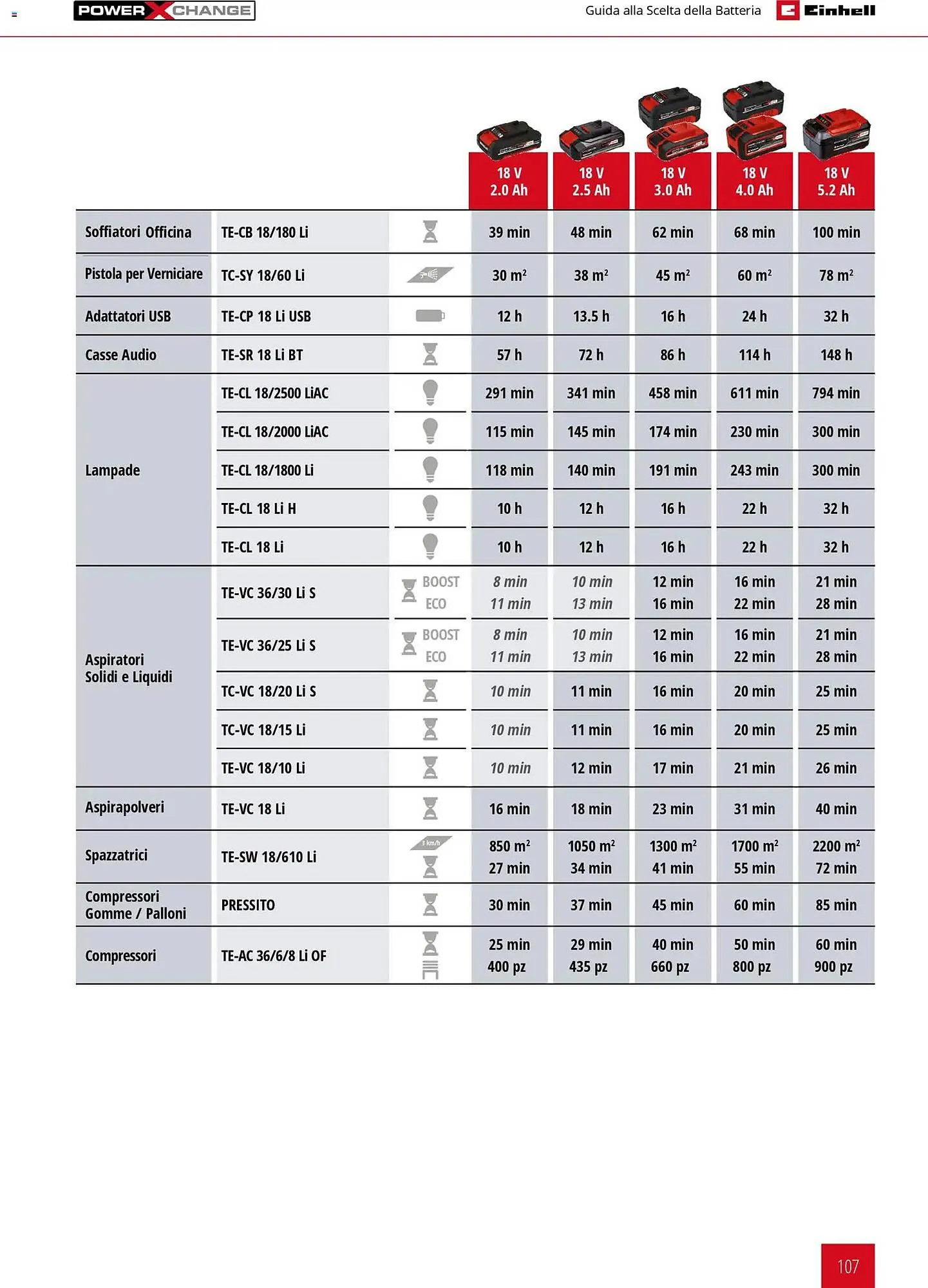 Volantino Einhell da 17 marzo a 31 dicembre di 2026 - Pagina del volantino 109