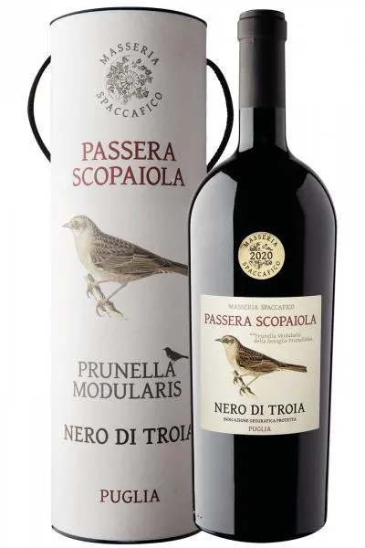 Nero Di Troia Passera Scopaiola 2020 Masseria Spaccafico (Magnum Con Astuccio)