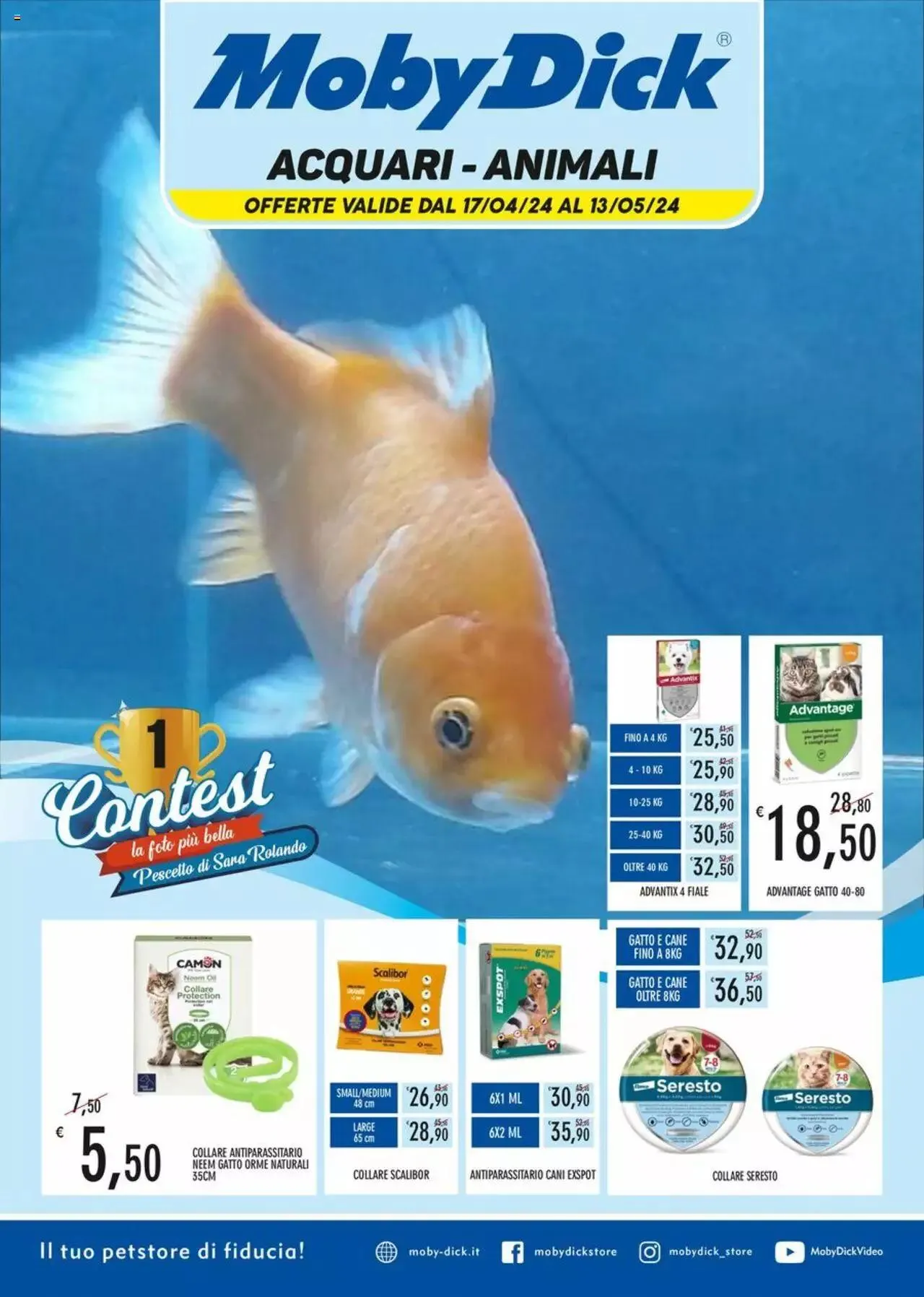 Volantino Moby Dick - 0