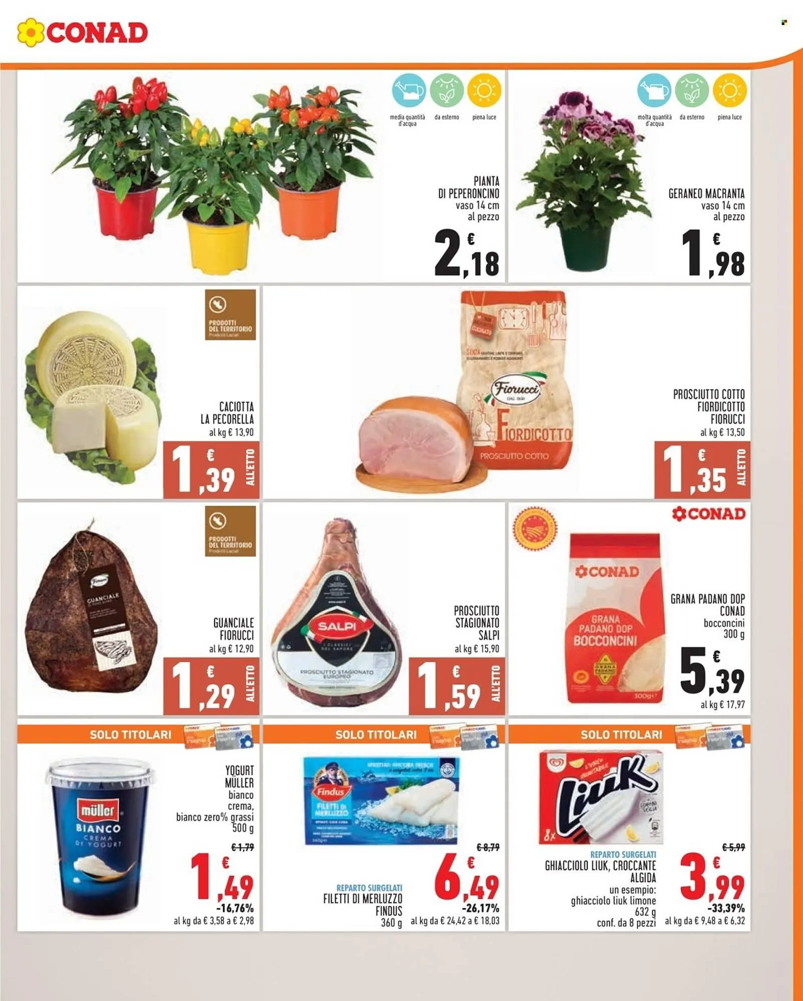 Volantino Conad da 11 giugno a 17 giugno di 2025 - Pagina del volantino 3