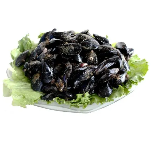 (MYTILUS GALLOPROVINCIALIS) ALLEVATO FAO 37