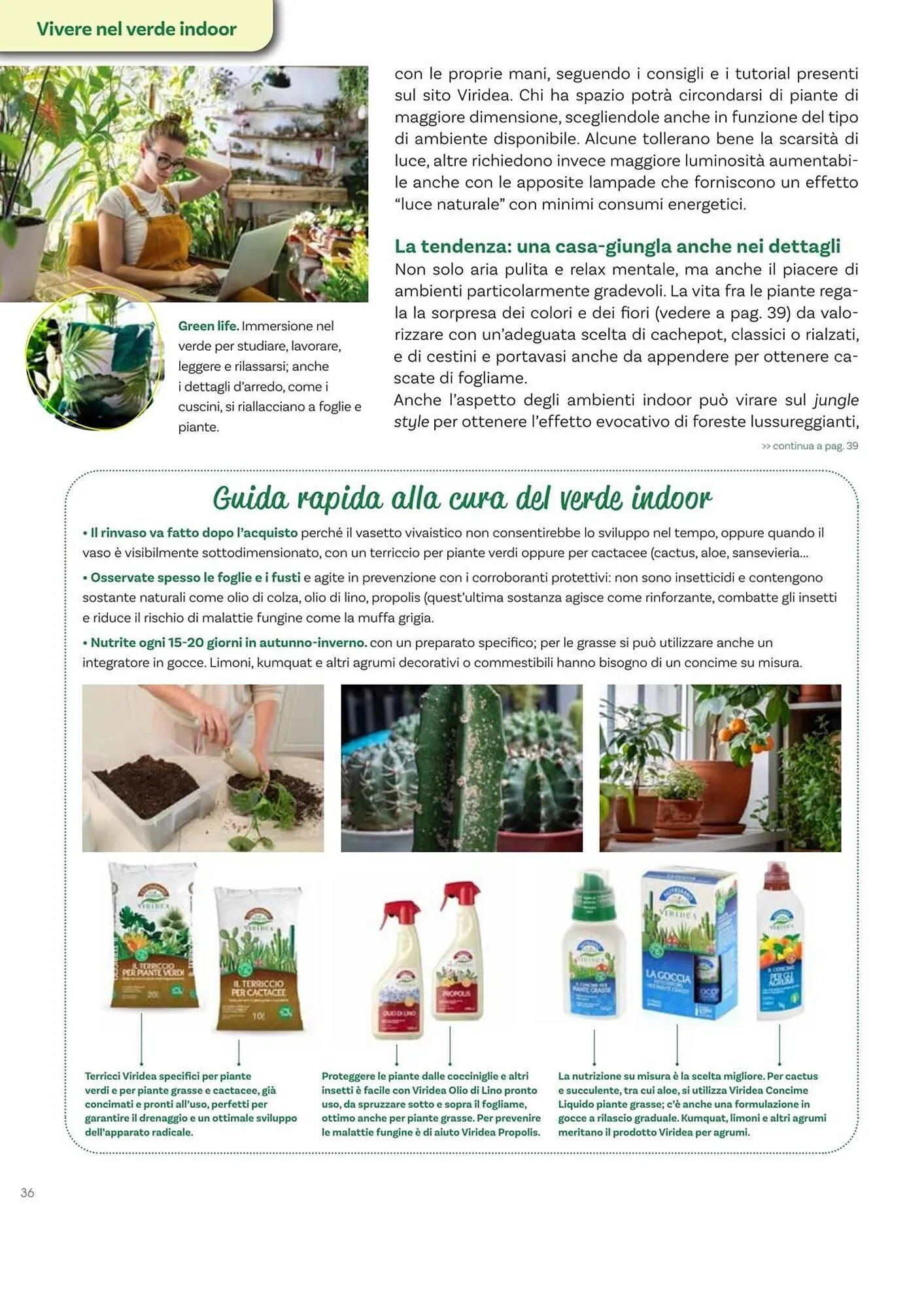 Volantino Viridea da 17 ottobre a 22 dicembre di 2025 - Pagina del volantino 36
