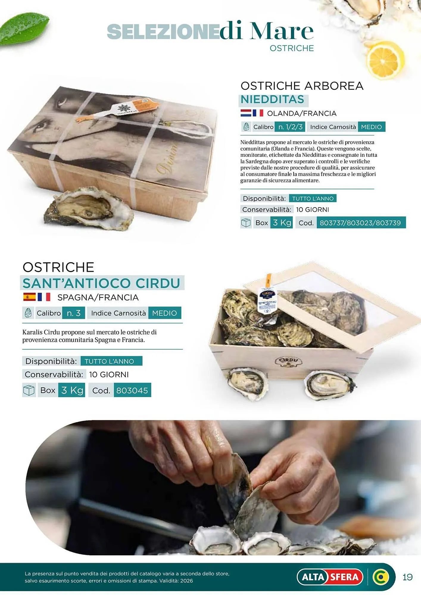 Volantino Centro Cash da 30 aprile a 31 dicembre di 2026 - Pagina del volantino 19