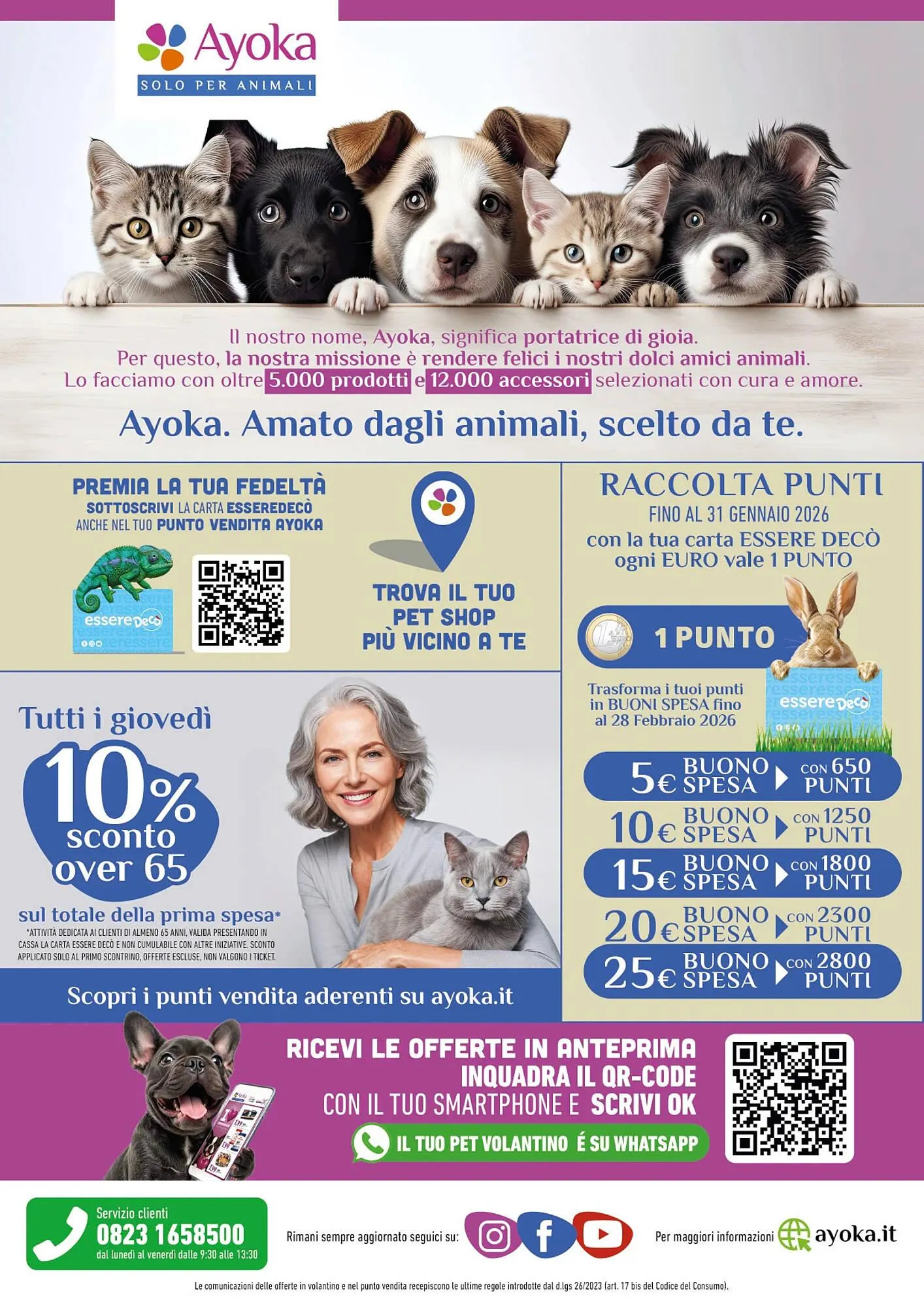 Volantino Ayoka da 24 novembre a 14 dicembre di 2025 - Pagina del volantino 8