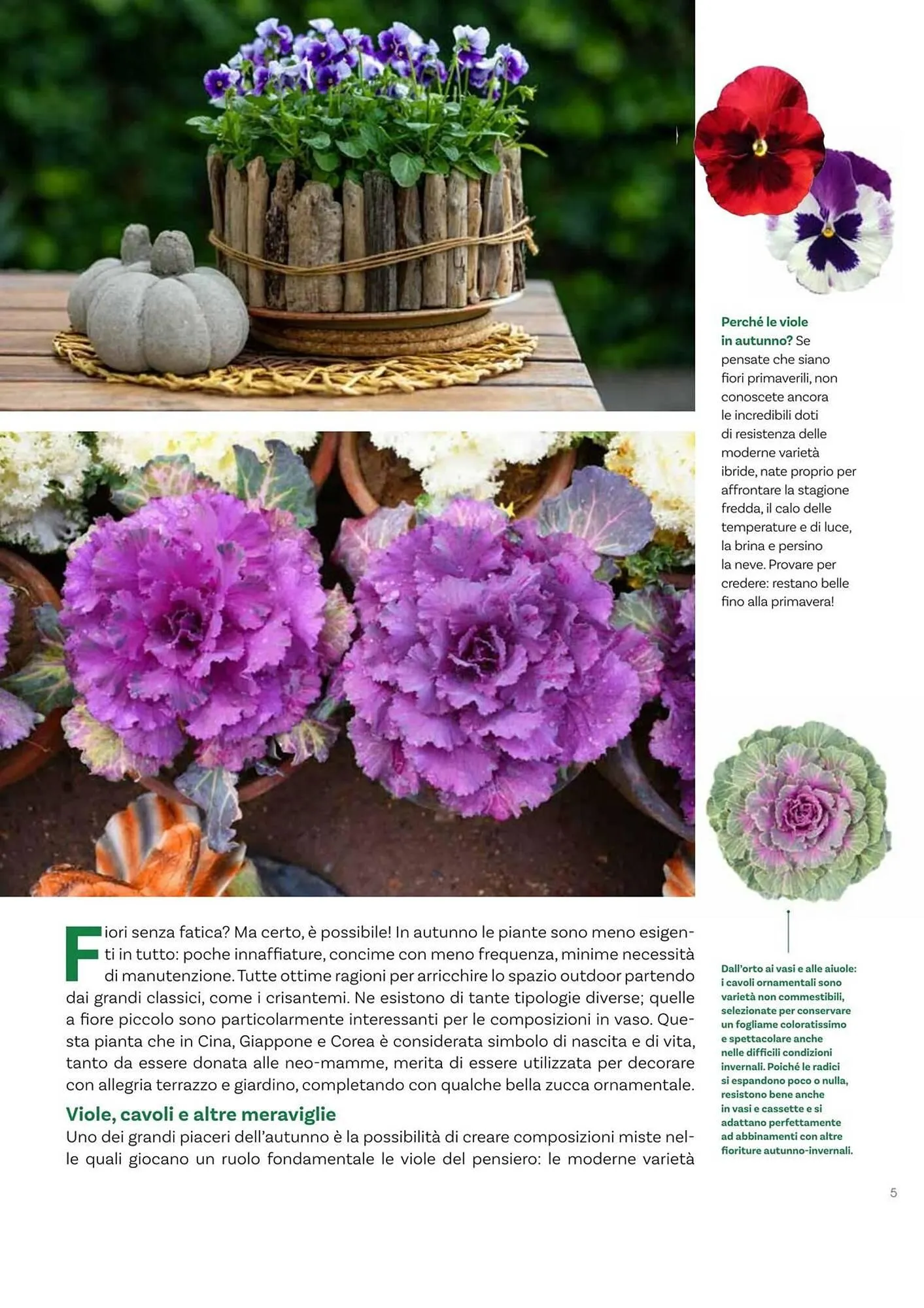 Volantino Viridea da 17 ottobre a 22 dicembre di 2025 - Pagina del volantino 5