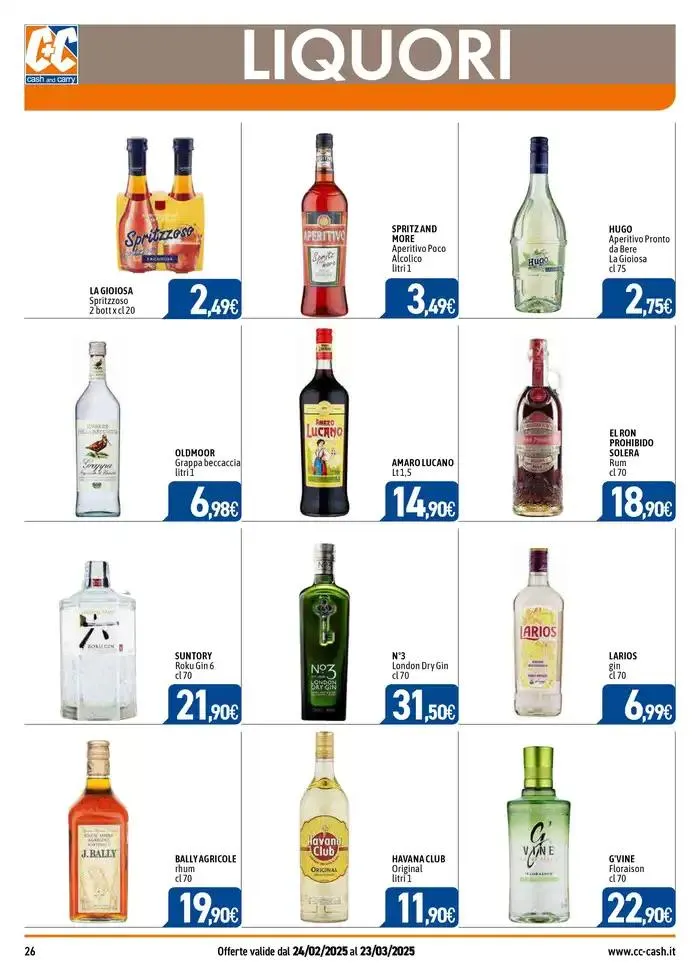 PROFESSIONAL da 24 febbraio a 23 marzo di 2025 - Pagina del volantino 26