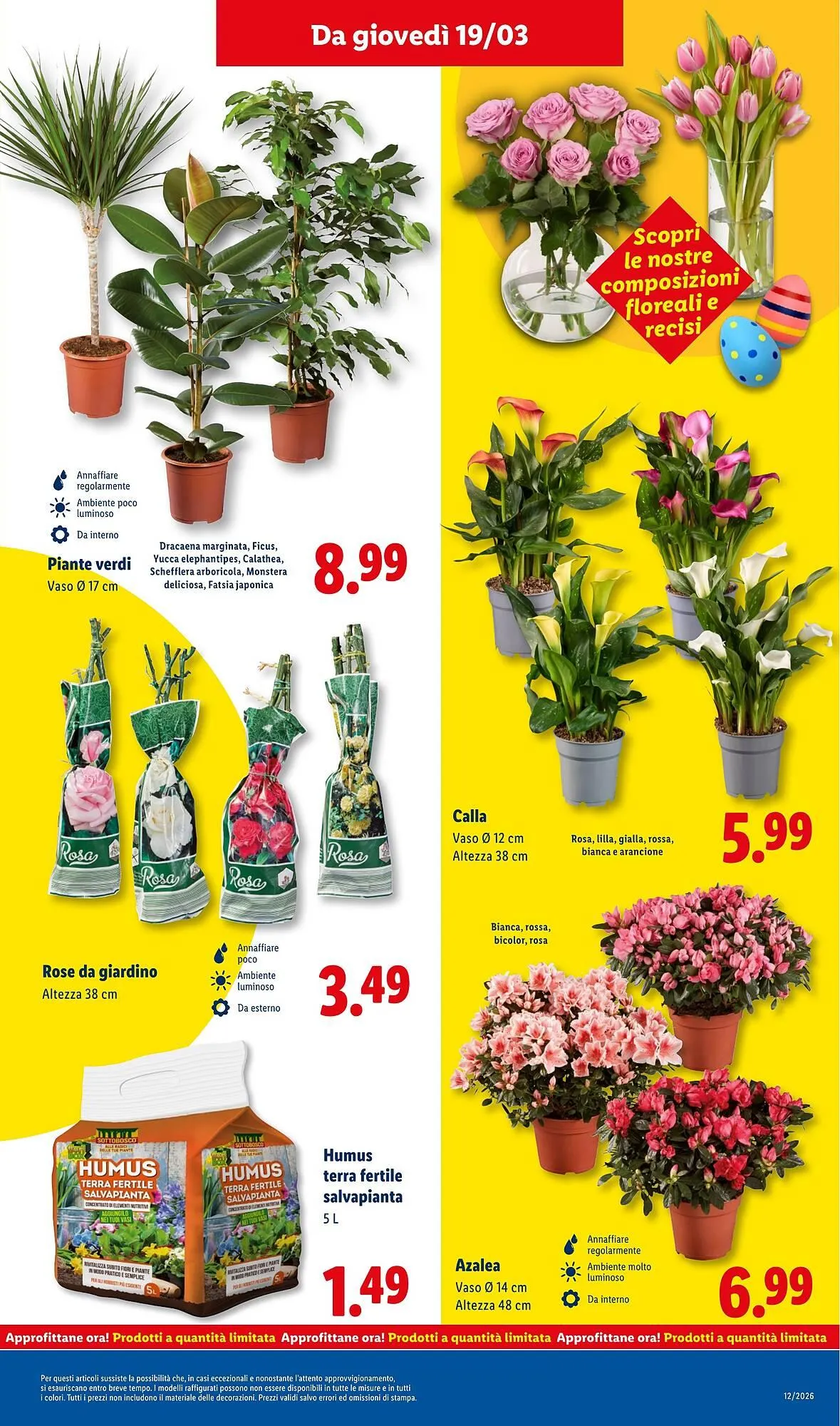 Volantino Lidl da 16 marzo a 22 marzo di 2026 - Pagina del volantino 45