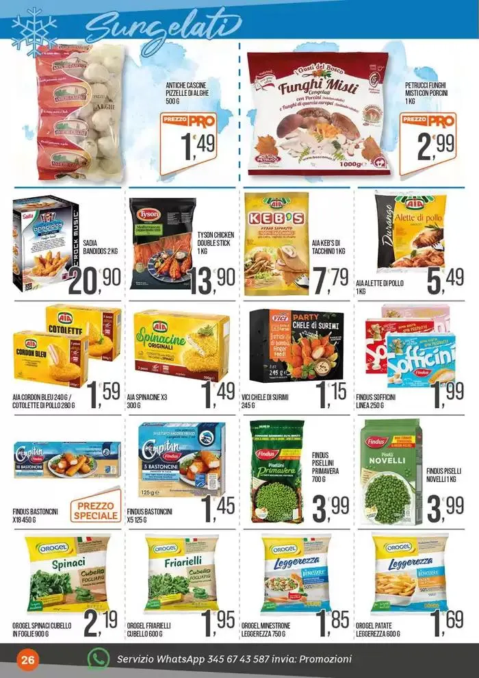 Professione ingrosso. da 26 dicembre a 12 gennaio di 2025 - Pagina del volantino 26