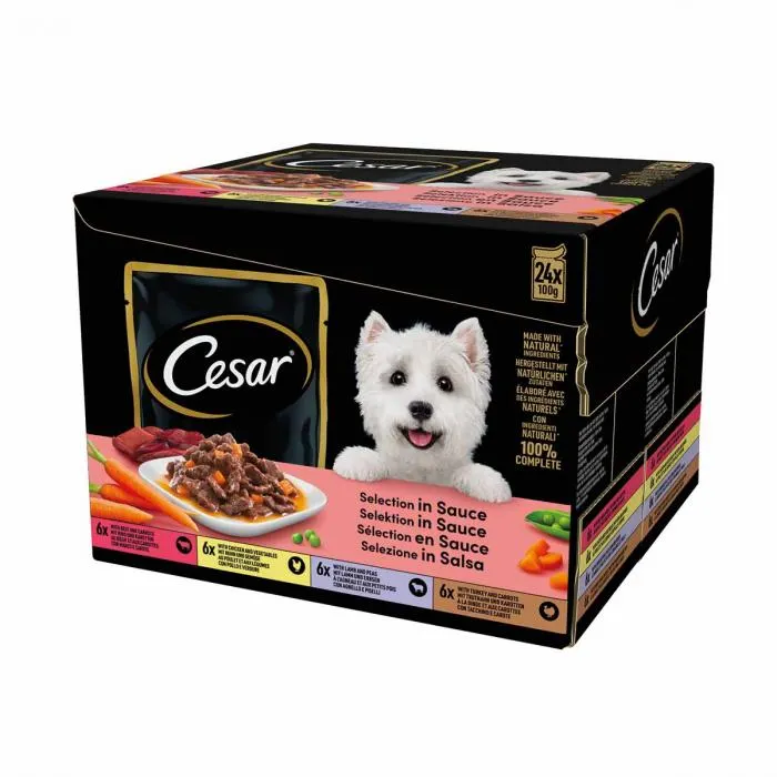 Cibo umido per cani cesar selezione in salsa deliziosa multipack 24 x 100 gr