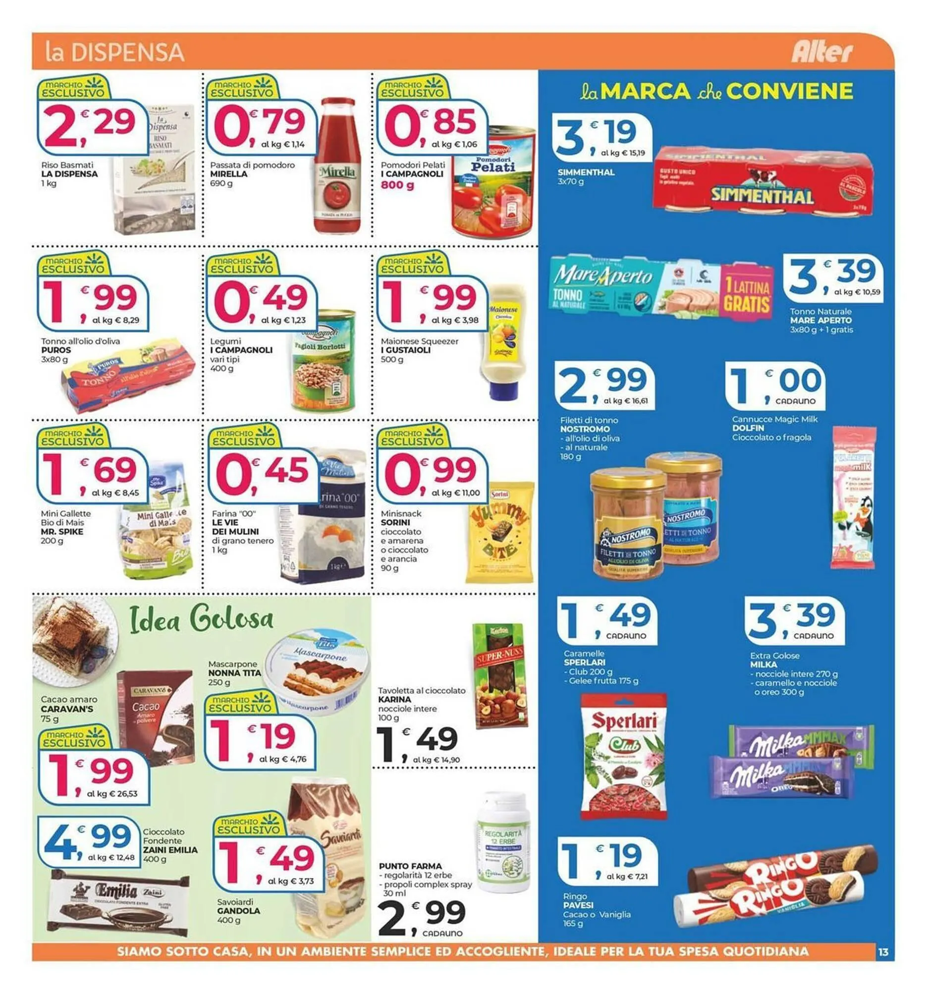 Volantino Alter Discount da 13 marzo a 24 marzo di 2026 - Pagina del volantino 13