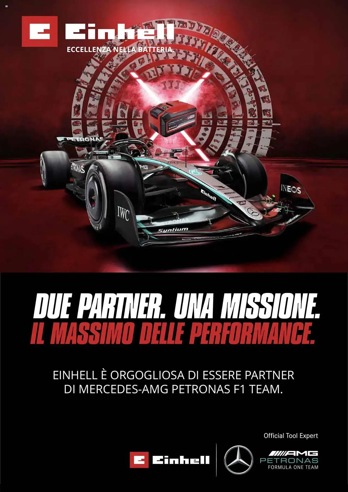 Volantino Einhell da 10 ottobre a 31 dicembre di 2025 - Pagina del volantino 196