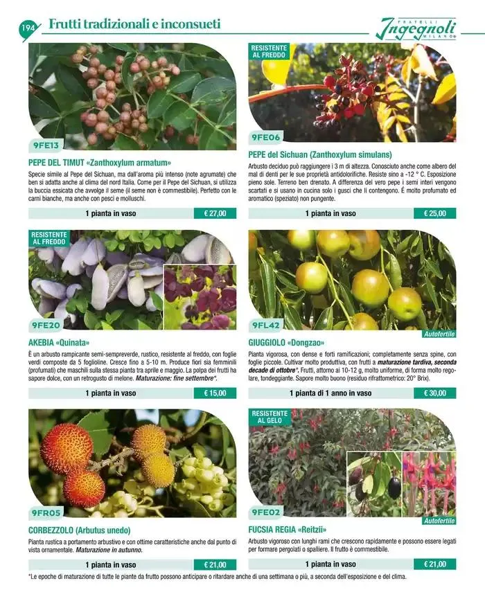 Catalogo guida 2025 da 20 gennaio a 31 dicembre di 2025 - Pagina del volantino 196