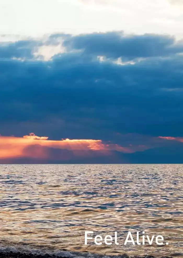 Catalogo 2025 da 4 febbraio a 31 dicembre di 2025 - Pagina del volantino 39