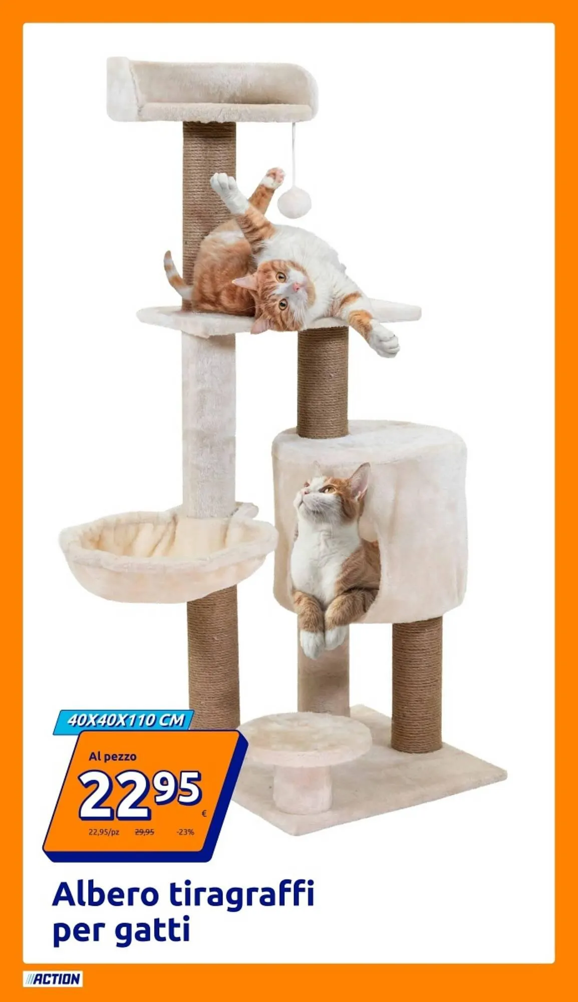 Volantino Action da 12 novembre a 18 novembre di 2025 - Pagina del volantino 13