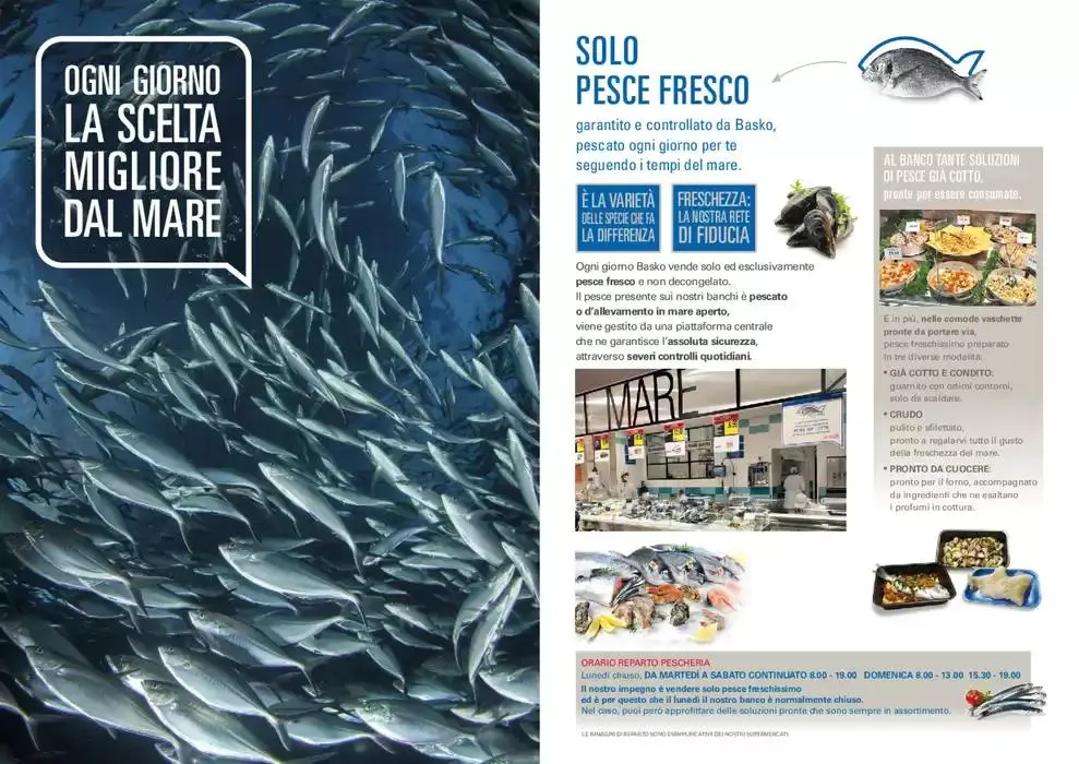 Nuova apertura! da 22 ottobre a 31 dicembre di 2024 - Pagina del volantino 4