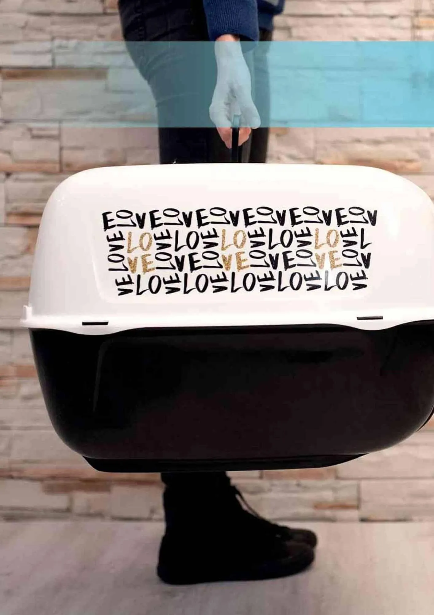 Volantino Ferplast da 25 aprile a 31 gennaio di 2025 - Pagina del volantino 278