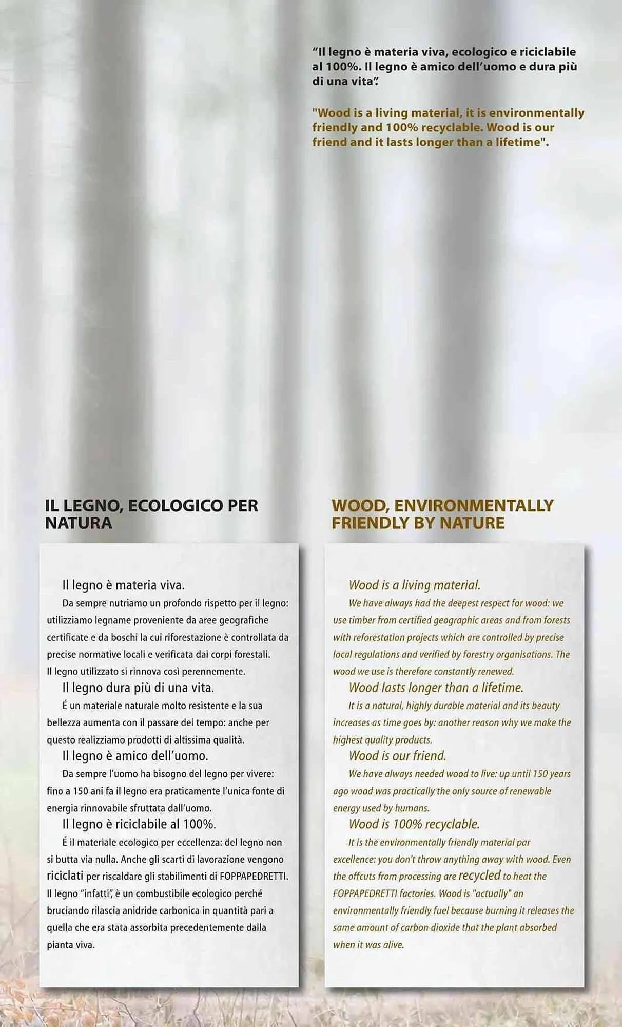 Volantino Foppapedretti da 26 gennaio a 31 dicembre di 2026 - Pagina del volantino 39