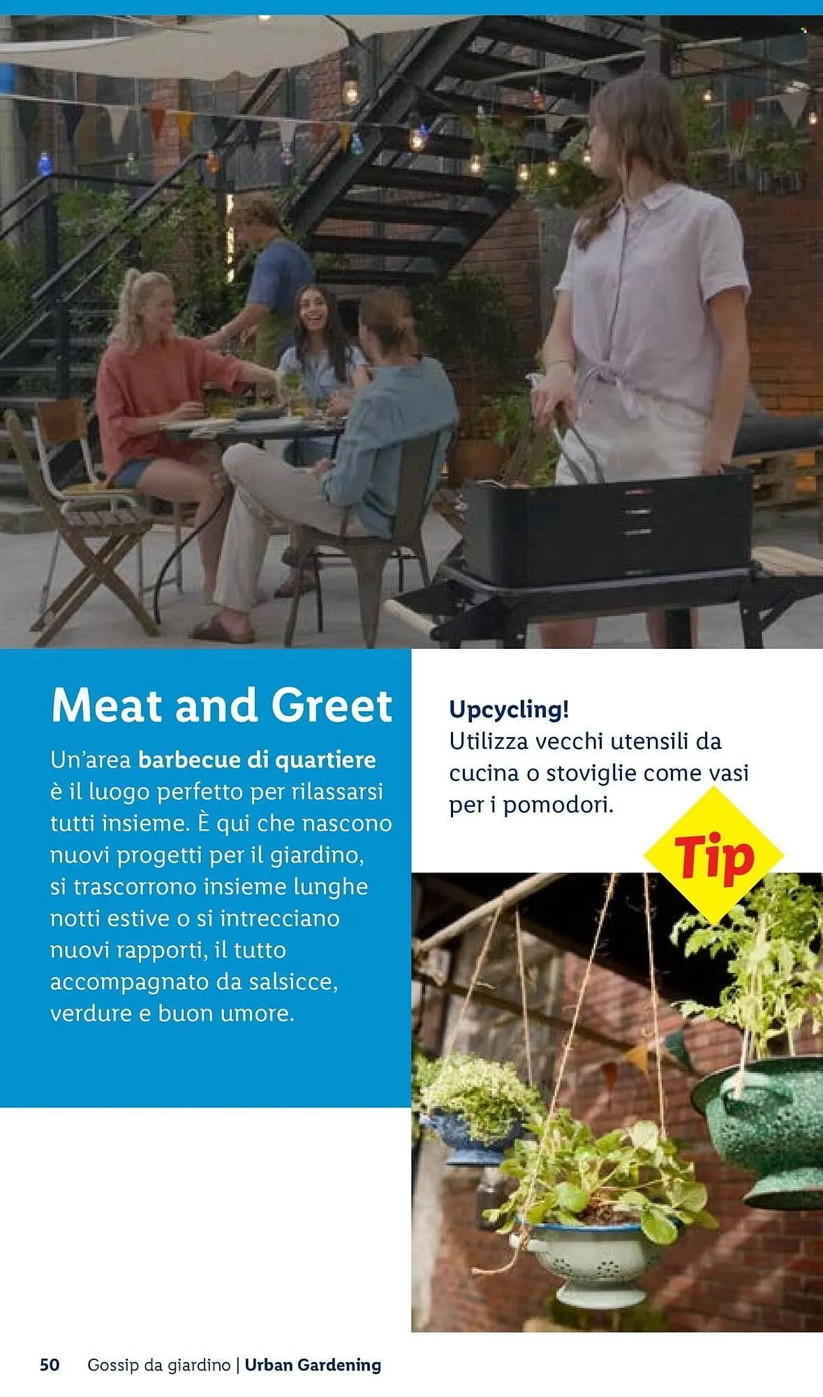 Volantino Lidl da 22 aprile a 30 aprile di 2026 - Pagina del volantino 50