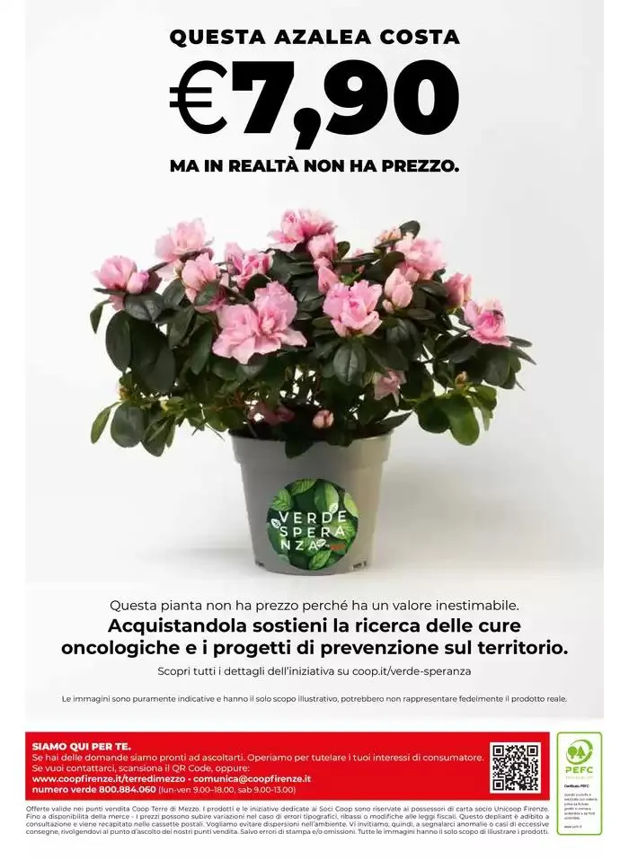 Buona pasqua da 10 aprile a 19 aprile di 2025 - Pagina del volantino 32