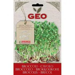 GERMOGLI - CAVOL BROCCOLO
