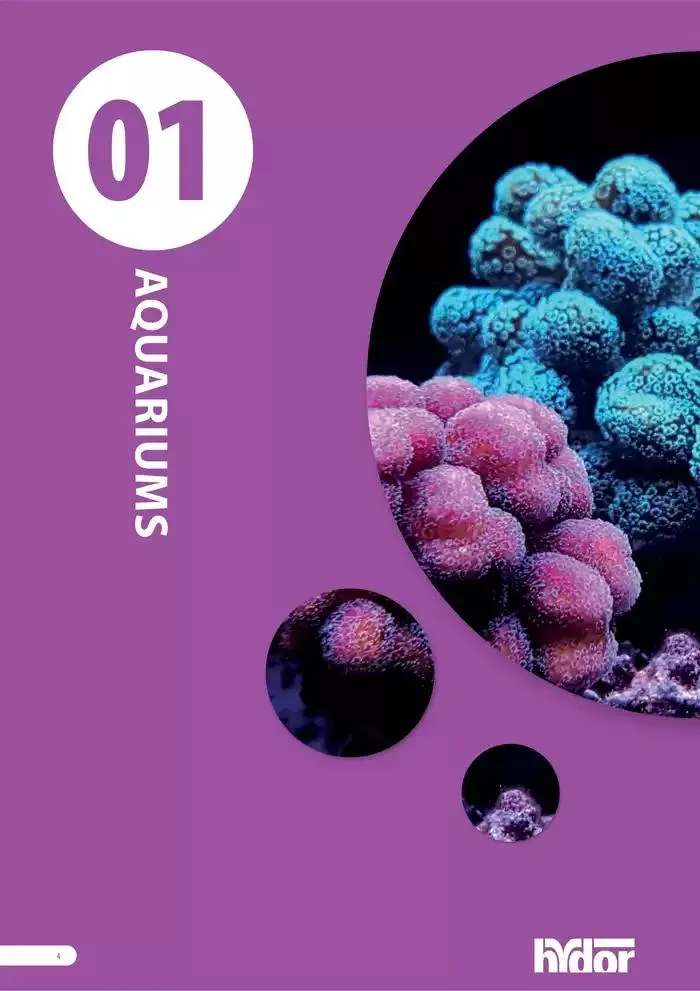 Ferplast da 13 dicembre a 31 dicembre di 2026 - Pagina del volantino 5