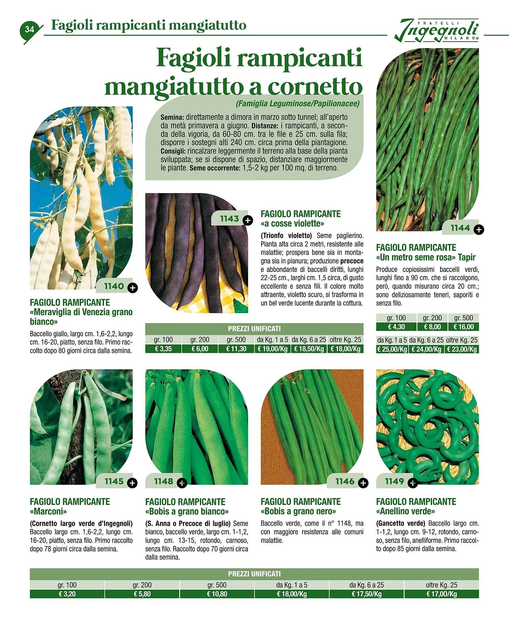 Volantino Ingegnoli da 4 novembre a 31 dicembre di 2025 - Pagina del volantino 36