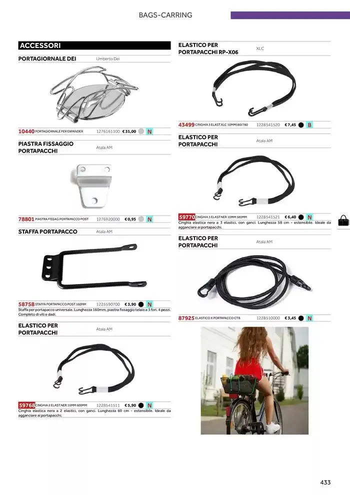 Catalogo ricambi ed accessori da 20 novembre a 31 dicembre di 2025 - Pagina del volantino 317