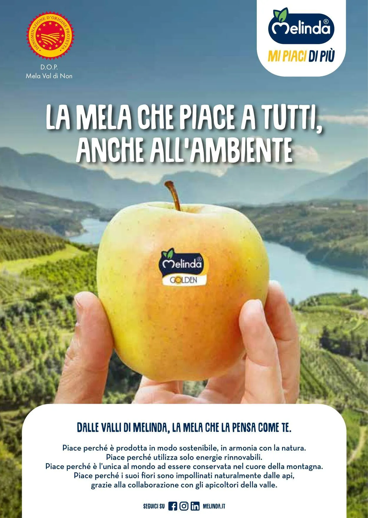 Gulliver Volantino attuale da 1 ottobre a 31 ottobre di 2025 - Pagina del volantino 8
