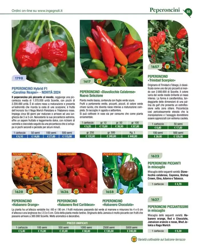 Novita 2025 da 4 novembre a 31 dicembre di 2025 - Pagina del volantino 54