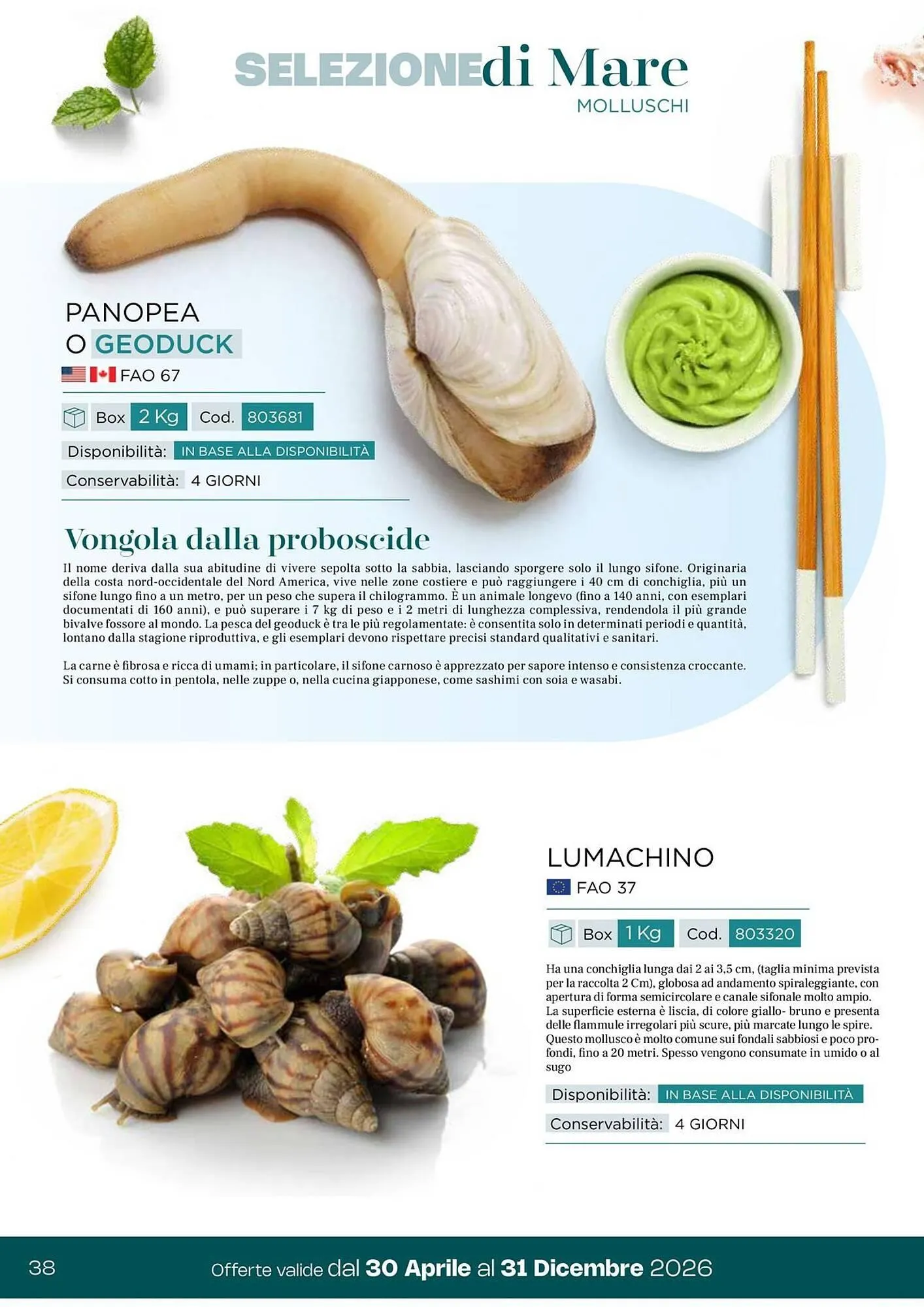 Volantino Centro Cash da 30 aprile a 31 dicembre di 2026 - Pagina del volantino 38
