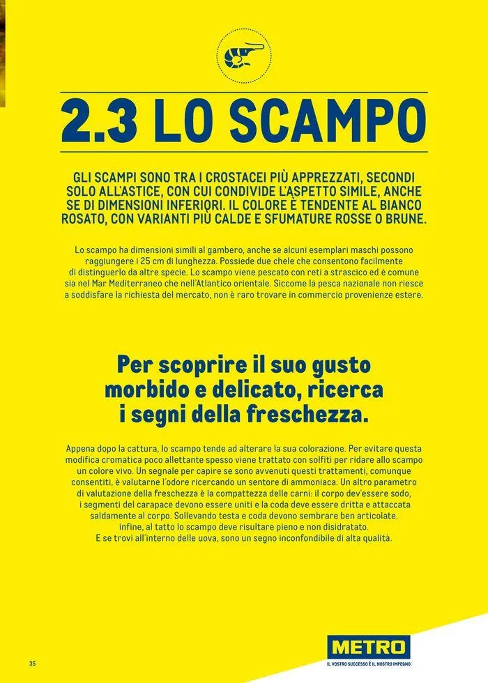 Catalogo Surgelati 2024 da 21 maggio a 31 maggio di 2025 - Pagina del volantino 35