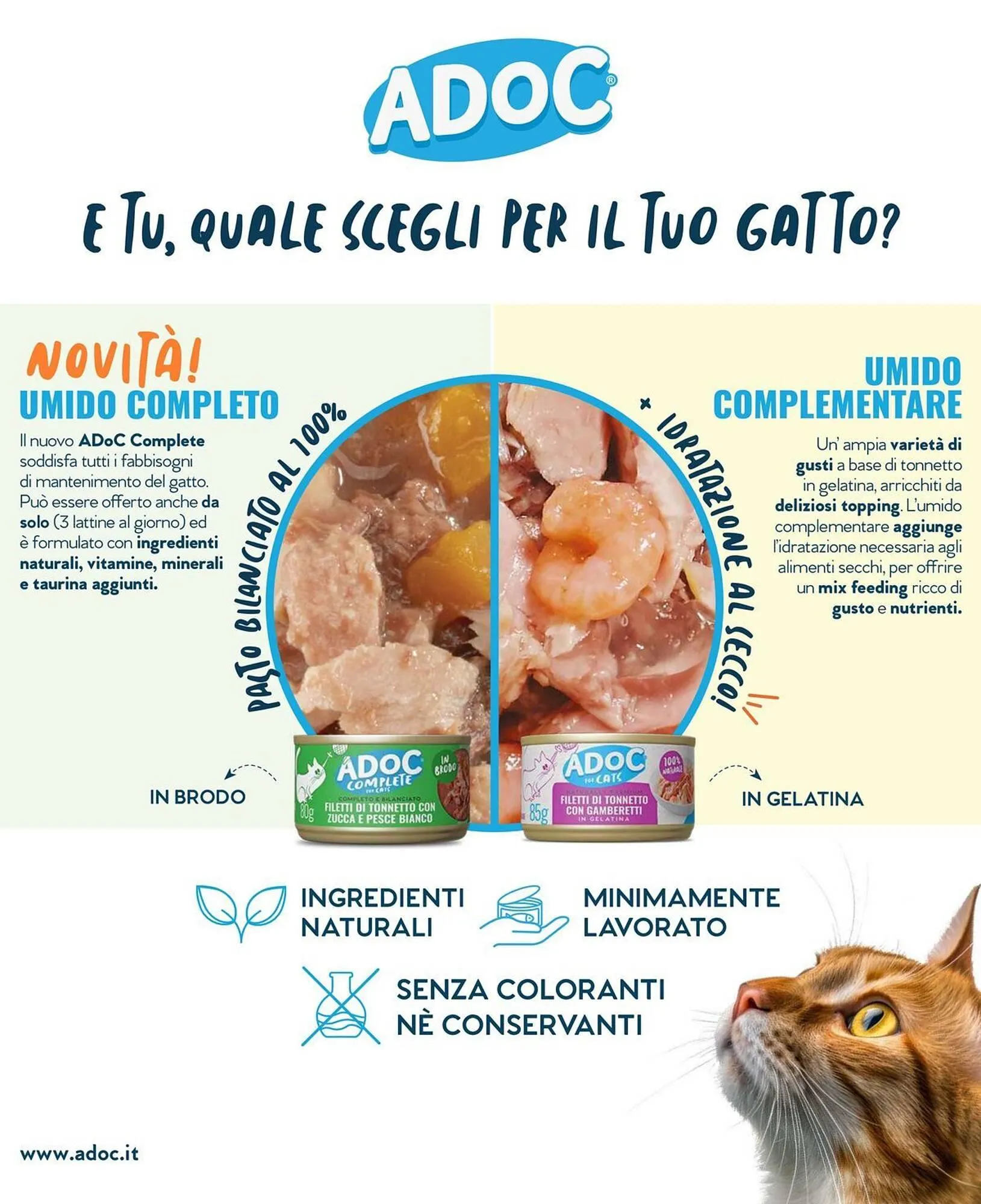 Volantino A&O da 1 novembre a 31 dicembre di 2025 - Pagina del volantino 73