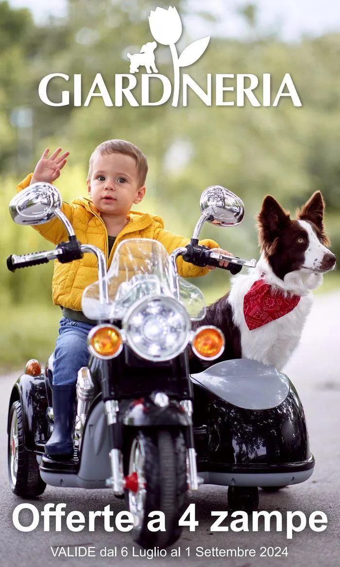 Offerte a 4 zampe - 1