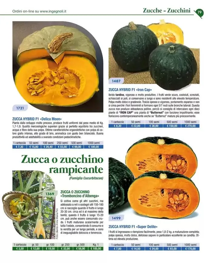 Catalogo guida 2025 da 20 gennaio a 31 dicembre di 2025 - Pagina del volantino 81