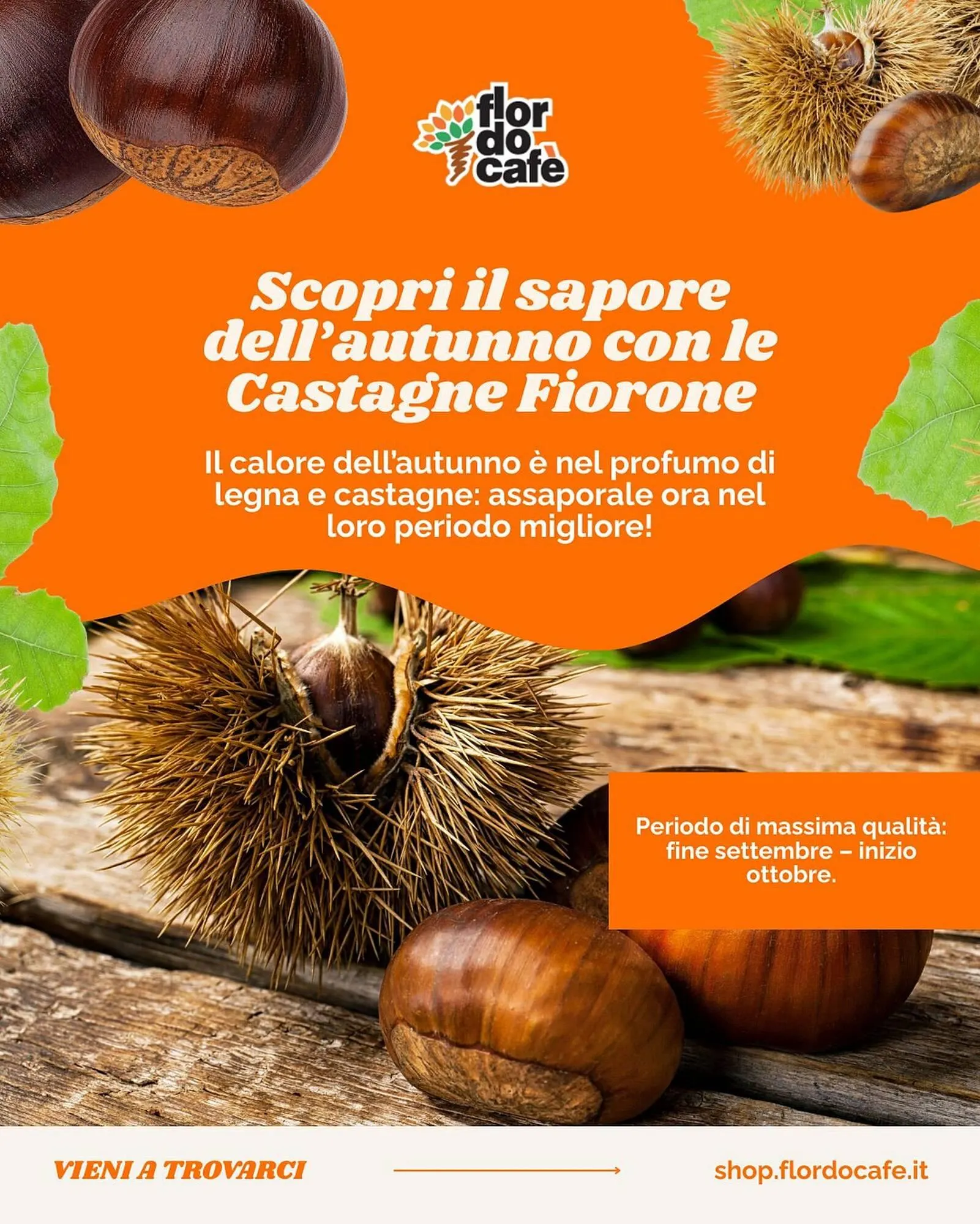 Volantino Flor do cafe da 3 ottobre a 19 ottobre di 2025 - Pagina del volantino 5