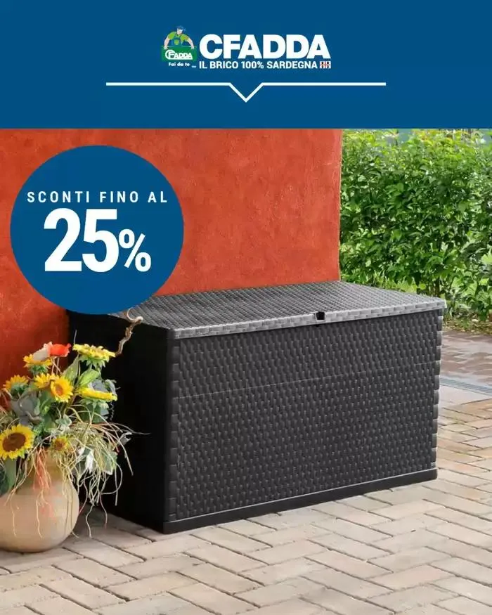 Dal 2 gennaio al 19 febbraio da 29 gennaio a 19 febbraio di 2025 - Pagina del volantino 3