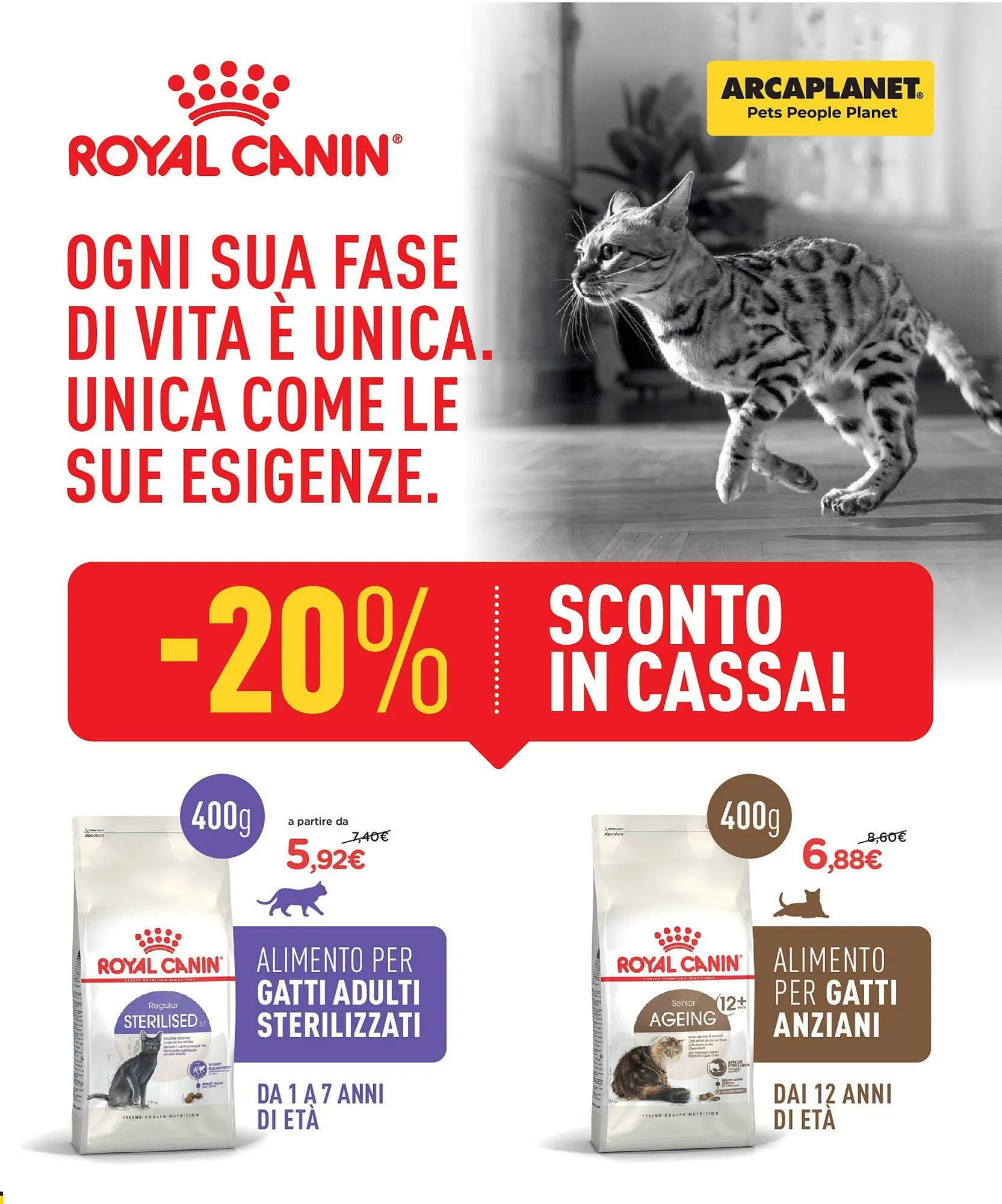 Volantino Arcaplanet da 2 giugno a 12 giugno di 2025 - Pagina del volantino 13