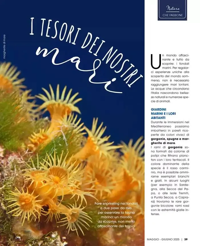 Catalogo A&O da 1 maggio a 30 giugno di 2025 - Pagina del volantino 40