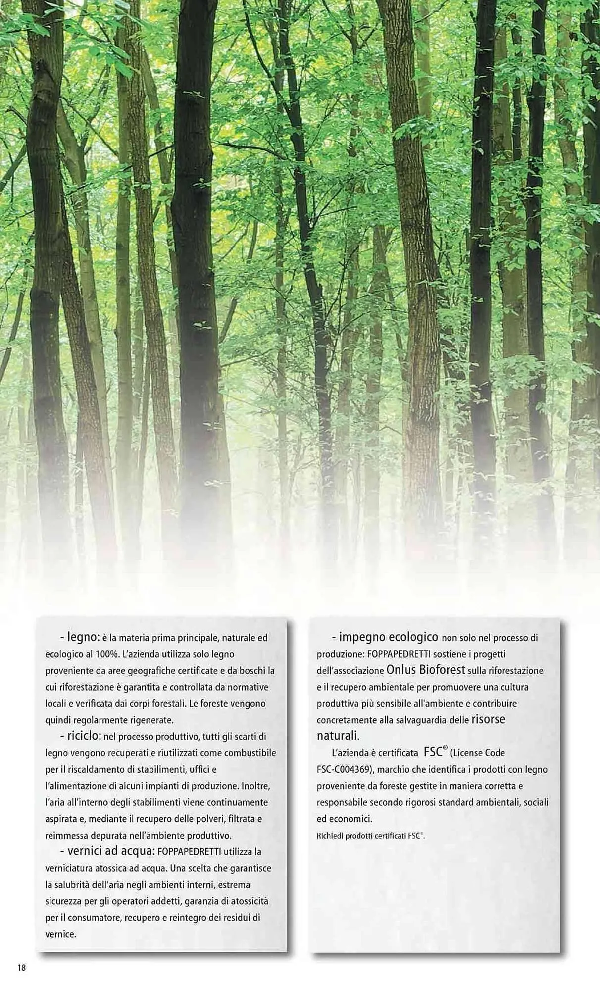 Volantino Foppapedretti da 26 gennaio a 31 dicembre di 2026 - Pagina del volantino 18