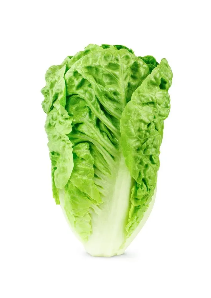 Insalata Lattuga Romana 200 g