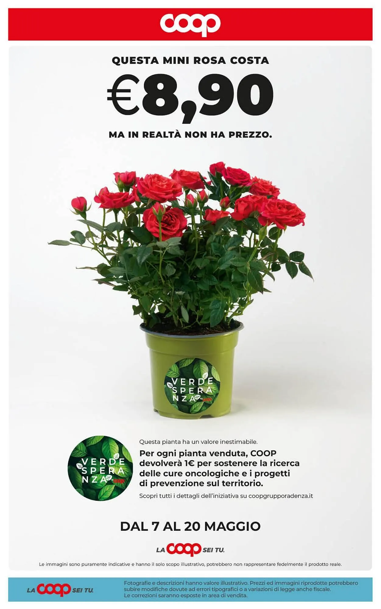 Volantino Coop Radenza da 7 maggio a 18 maggio di 2026 - Pagina del volantino 41