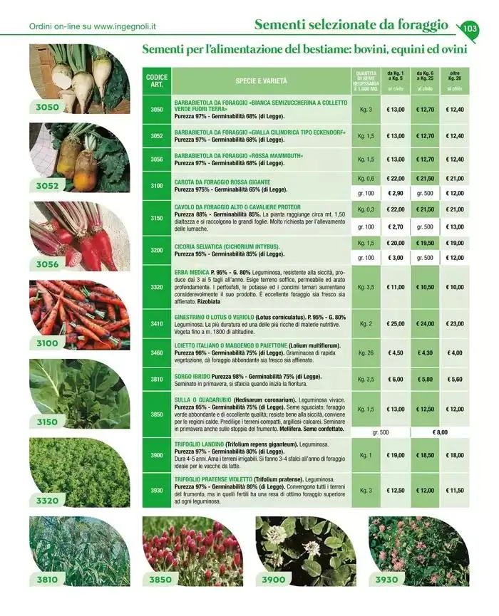 Catalogo guida 2025 da 20 gennaio a 31 dicembre di 2025 - Pagina del volantino 105