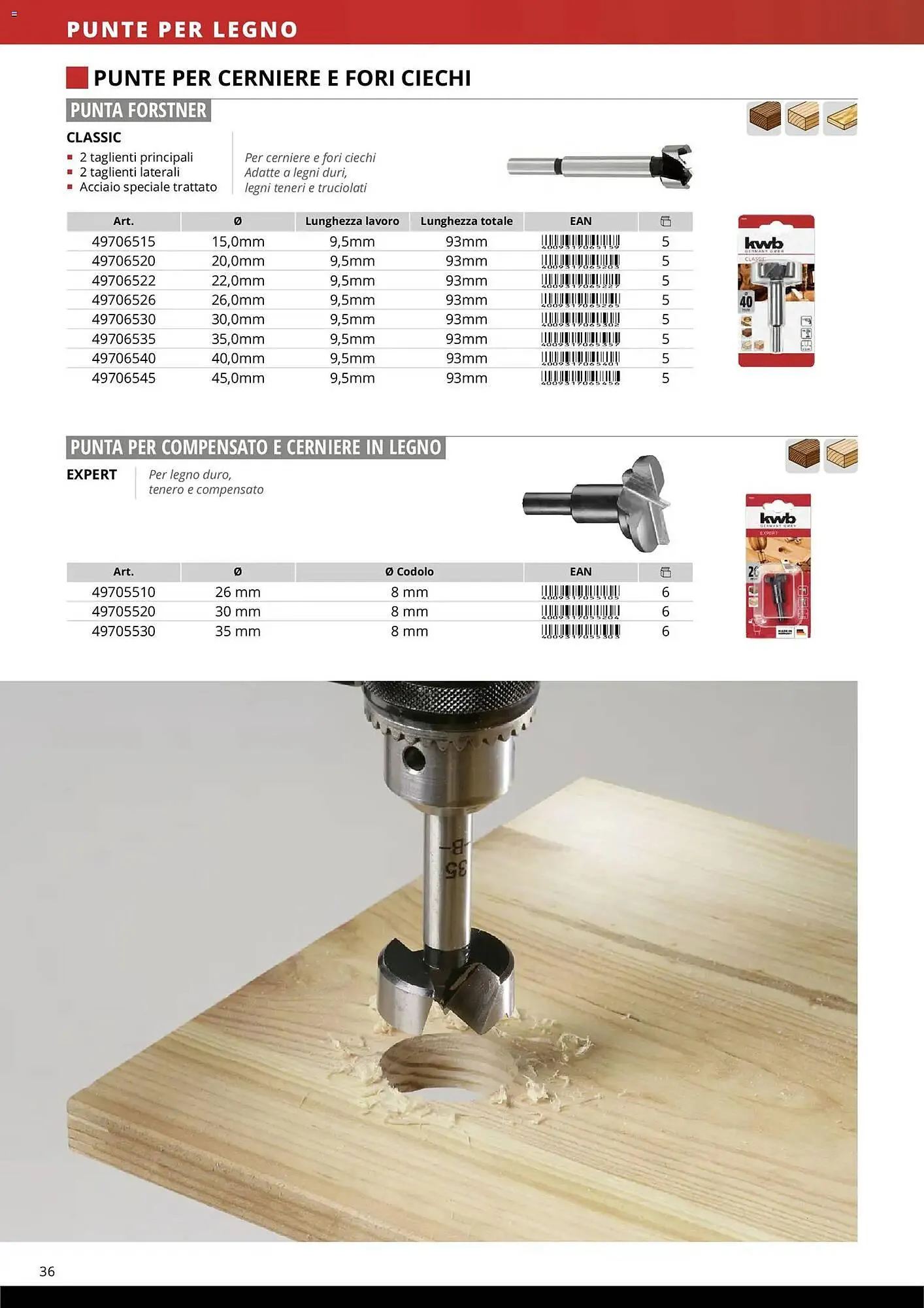 Volantino Einhell da 17 marzo a 31 dicembre di 2026 - Pagina del volantino 38