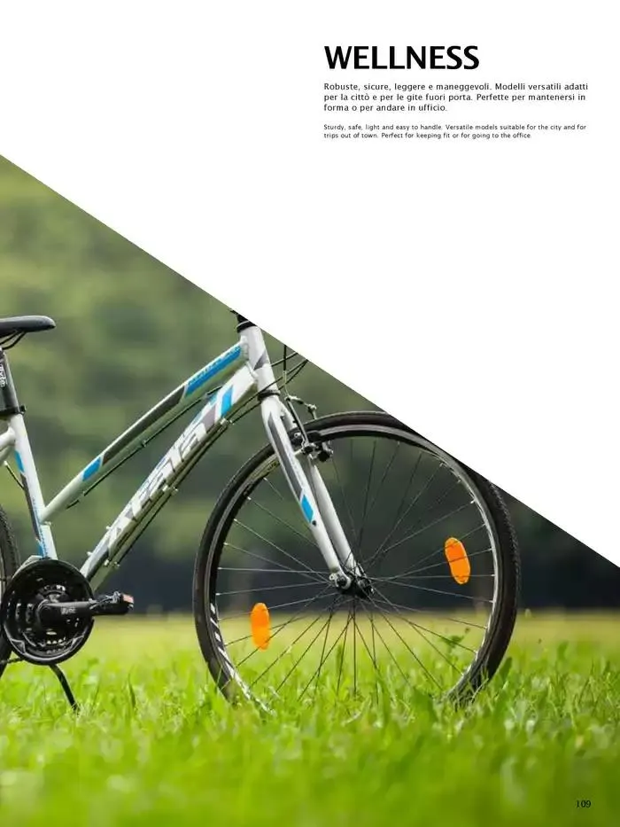 Atala 2025 da 20 novembre a 31 dicembre di 2025 - Pagina del volantino 111